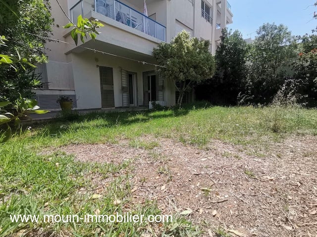 WhatsApp Image 2024-05-21 at 21.14.51