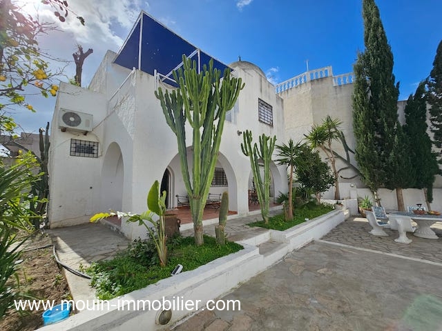 WhatsApp Image 2026-02-20 at 11.11.39