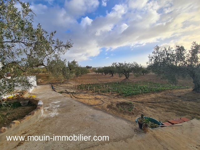 WhatsApp Image 2023-01-12 at 18.15.47