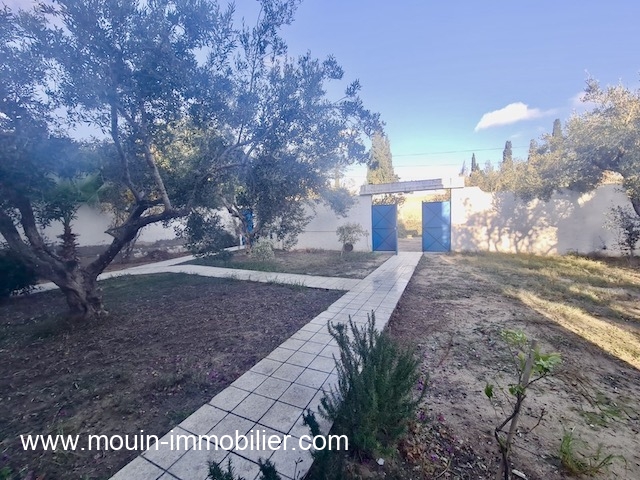 WhatsApp Image 2025-12-11 at 16.30.41 (1)