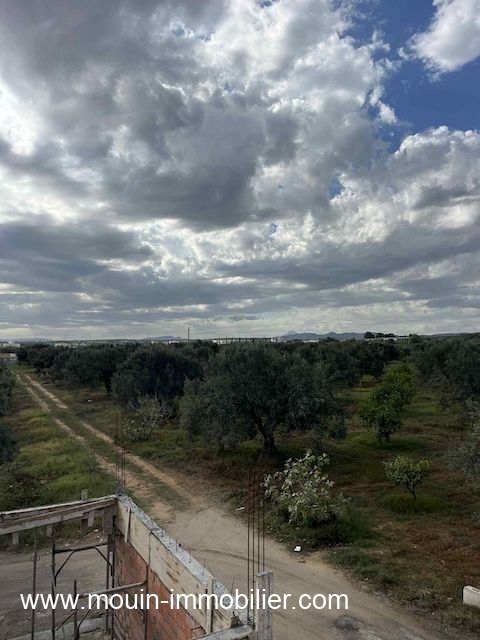 WhatsApp Image 2026-01-09 at 10.23.47 (1)