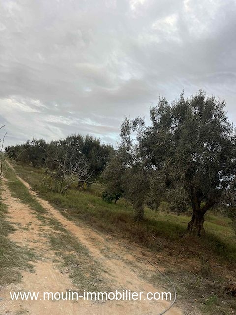 WhatsApp Image 2026-01-09 at 10.23.47 (3)