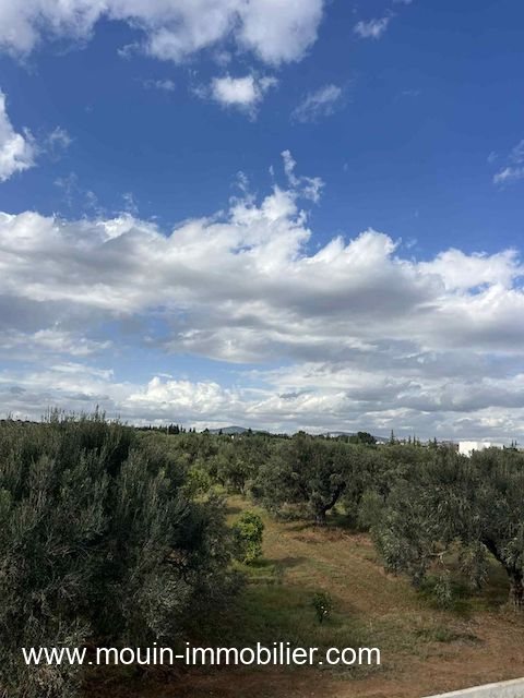 WhatsApp Image 2026-01-09 at 10.23.48