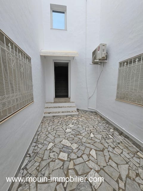 WhatsApp Image 2026-02-05 at 13.34.31 (1)