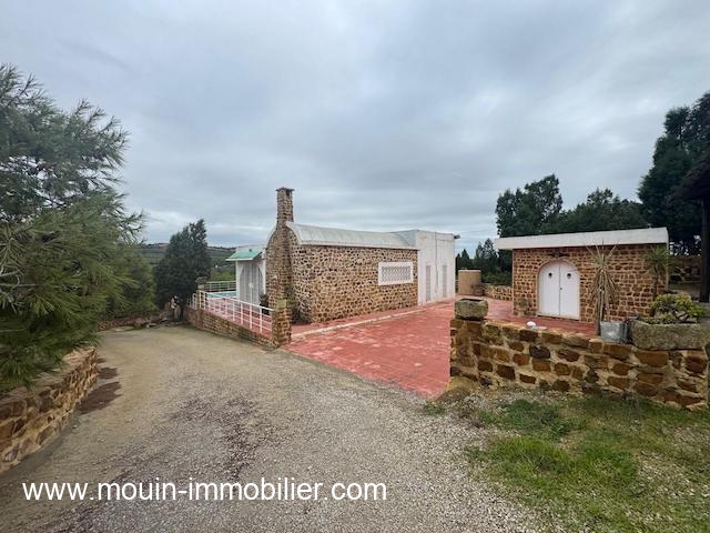 WhatsApp Image 2026-01-17 at 11.35.44 (1)