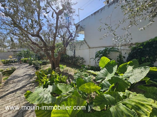 WhatsApp Image 2026-02-16 at 12.56.44