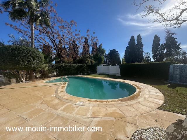 WhatsApp Image 2026-01-23 at 17.44.27