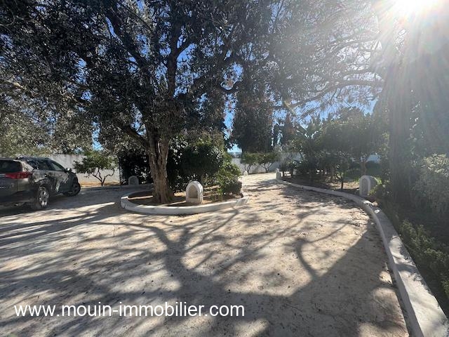 WhatsApp Image 2026-01-23 at 17.44.28 (1)