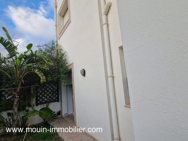 WhatsApp Image 2026-01-27 at 12.15.27