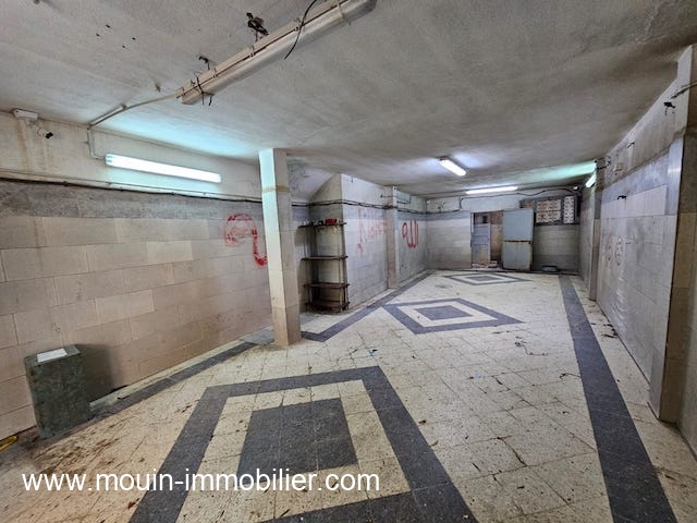 WhatsApp Image 2026-02-04 at 16.39.54 (3)