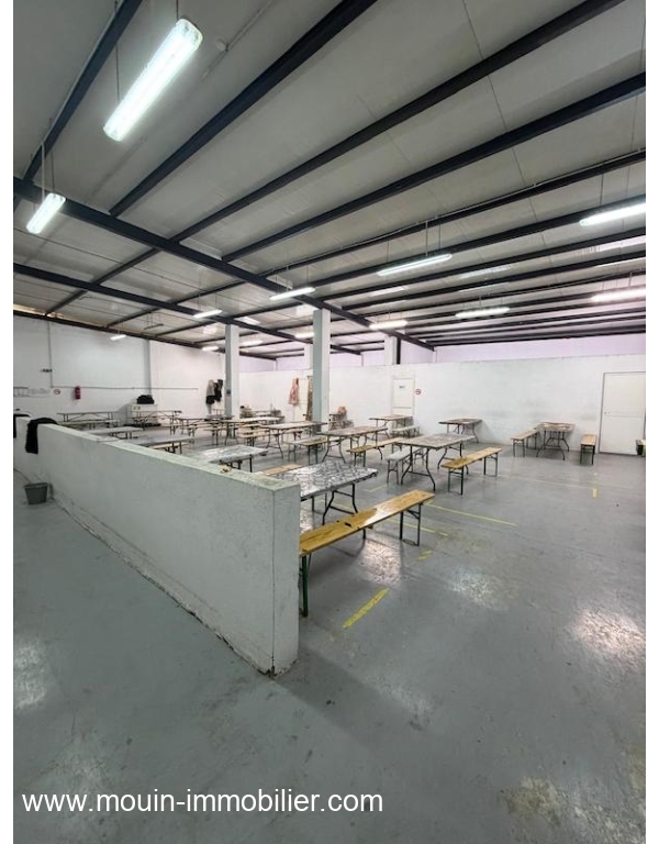 WhatsApp Image 2026-02-16 at 17.38.01 (2)