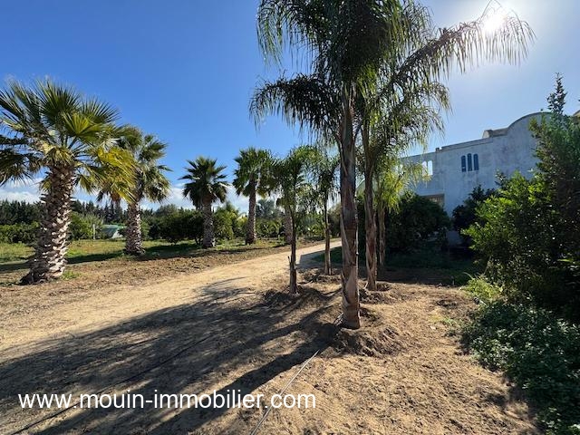 WhatsApp Image 2026-02-14 at 17.44.40 (1)