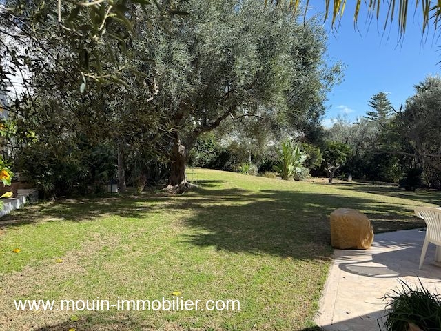 WhatsApp Image 2026-02-16 at 17.08.20