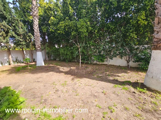 WhatsApp Image 2026-03-16 at 11.37.15 (1)