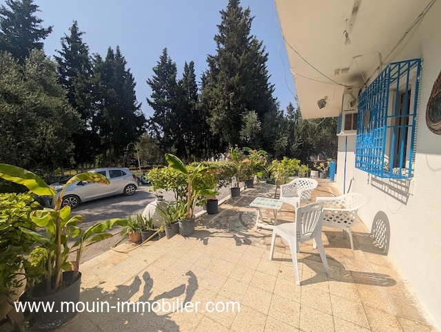 PXL_20260731_083150905