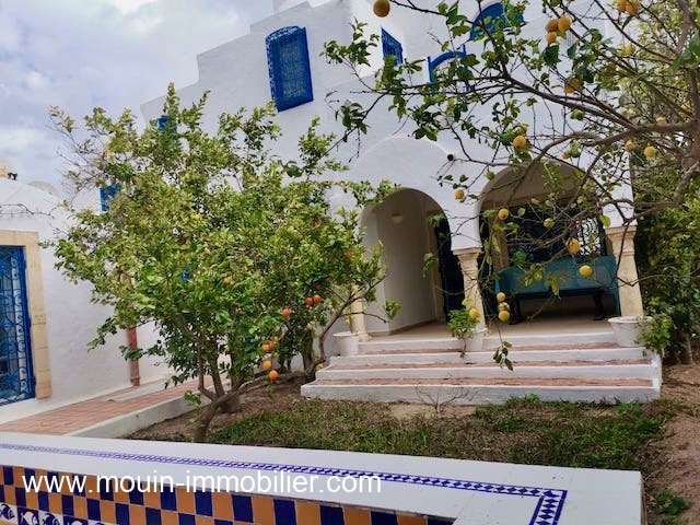 WhatsApp Image 2024-01-20 at 12.21.30 (1)