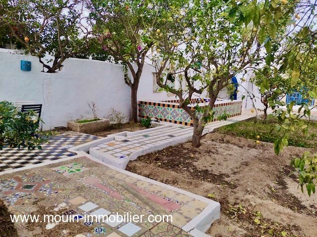 WhatsApp Image 2024-01-20 at 12.21.31