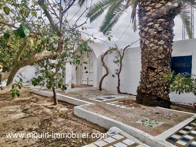 WhatsApp Image 2024-01-20 at 12.40.30